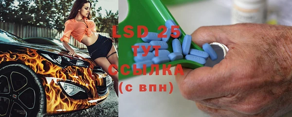 трава Карпинск